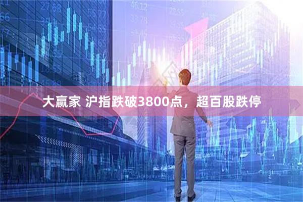 大赢家 沪指跌破3800点，超百股跌停
